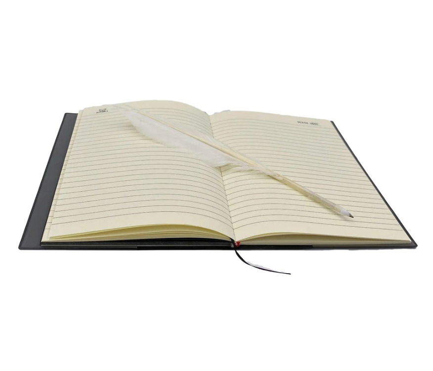 Anime Fans Will Love This Death Note Inspired Journal (No Feather Pen)